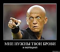 МНЕ НУЖНЫ ТВОИ БРОВИ и мотоцикл