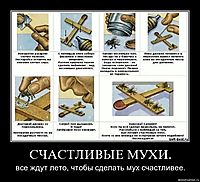 СЧАСТЛИВЫЕ МУХИ. все ждут лето, чтобы сделать мух счастливее.