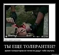 ТЫ ЕЩЕ ТОЛЕРАНТЕН? армия толераторов из чечни не дадут тебе скучать