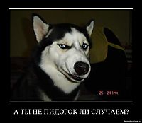 А ТЫ НЕ ПИДОРОК ЛИ СЛУЧАЕМ? 