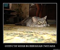 ОТПУСТИ МЕНЯ ВОЛШЕБНАЯ СМЕТАНА 