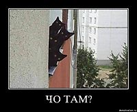 ЧО ТАМ?