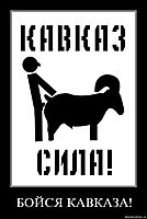 БОЙСЯ КАВКАЗА! 