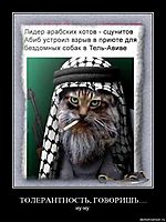 ТОЛЕРАНТНОСТЬ, ГОВОРИШЬ.... ну-ну.