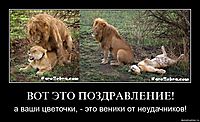 ВОТ ЭТО ПОЗДРАВЛЕНИЕ! а ваши цветочки, - это веники от неудачников!