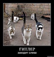 ГИТЛЕР заходит слева