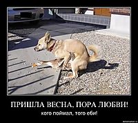 ПРИШЛА ВЕСНА, ПОРА ЛЮБВИ! кого поймал, того еби!