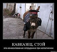 КАВКАЗЕЦ, СТОЙ