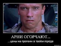 АРНИ ОГОРЧАЮТ... ...цены на протеин в твоём городе
