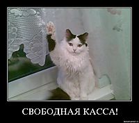 СВОБОДНАЯ КАССА! 