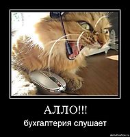 АЛЛО!!! бухгалтерия слушает