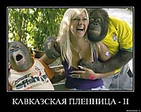 КАВКАЗСКАЯ ПЛЕННИЦА - II 
