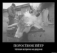 ПОРОСЁНОК ПЁТР тёплая встреча на родине