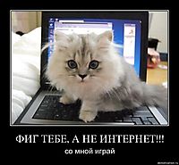 ФИГ ТЕБЕ, А НЕ ИНТЕРНЕТ!!! со мной играй