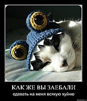 КАК ЖЕ ВЫ ЗАЕБАЛИ одевать на меня всякую хуйню