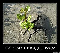 НИКОГДА НЕ ВИДЕЛ ЧУДА? 