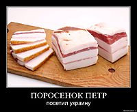 ПОРОСЕНОК ПЕТР посетил украину