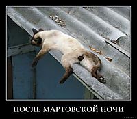 ПОСЛЕ МАРТОВСКОЙ НОЧИ 