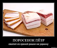 ПОРОСЕНОК ПЁТР свалил из сраной рашки на украину