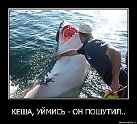 КЕША, УЙМИСЬ - ОН ПОШУТИЛ.. 