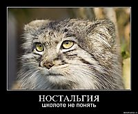 НОСТАЛЬГИЯ школoте не понять