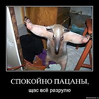 СПОКОЙНО ПАЦАНЫ, щас всё разрулю