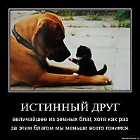 ИСТИННЫЙ ДРУГ величайшее из земных благ, хотя как раз за этим благом мы меньше всего гонимся.