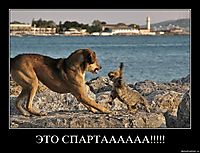 ЭТО СПАРТАААААА!!!!! 