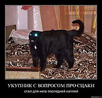 УКУПНИК С ВОПРОСОМ ПРО СЦАКИ стал для него последней каплей