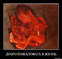 ДОБРО ПОЖАЛОВАТЬ В ЖИЗНЬ 