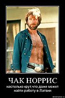 ЧАК НОРРИС настолько крут,что даже может найти работу в Латвии