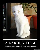 А КАКОЕ У ТЕБЯ первое впечатление от демотиваторов?
