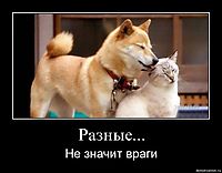 Разные... Не значит враги