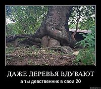 ДАЖЕ ДЕРЕВЬЯ ВДУВАЮТ а ты девственник в свои 20