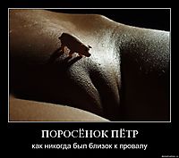 ПОРОСЁНОК ПЁТР