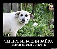 ЧЕРНОБЫЛЬСКИЙ ЗАЙКА настроение всегда отличное