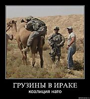 ГРУЗИНЫ В ИРАКЕ коалиция нато