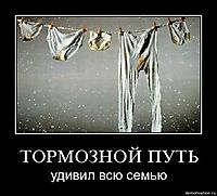 ТОРМОЗНОЙ ПУТЬ удивил всю семью