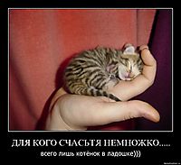 ДЛЯ КОГО СЧАСЬТЯ НЕМНОЖКО..... всего лишь котёнок в ладошке)))