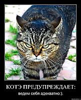 КОТЭ ПРЕДУПРЕЖДАЕТ: ведем себя адекватно:).