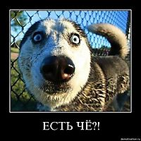 ЕСТЬ ЧЁ?! 
