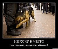 НЕ ХОЧУ В МЕТРО там страшно - вдруг опять бахнет?