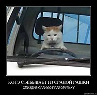 КОТЭ СЪЕБЫВАЕТ ИЗ СРАНОЙ РАШКИ СПИЗДИВ СРАНУЮ ПРАВОРУЛЬКУ