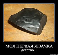 МОЯ ПЕРВАЯ ЖВАЧКА детство...