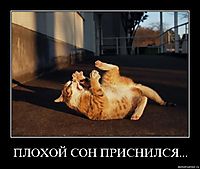 ПЛОХОЙ СОН ПРИСНИЛСЯ... 