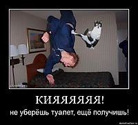 КИЯЯЯЯЯЯ! не уберёшь туалет, ещё получишь!