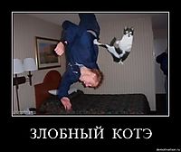 ЗЛОБНЫЙ  КОТЭ 