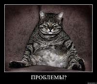 ПРОБЛЕМЫ? 