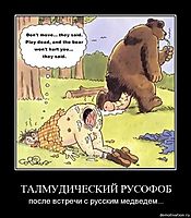 ТАЛМУДИЧЕСКИЙ РУСОФОБ после встречи с русским медведем...