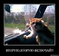ВТОРУЮ,ВТОРУЮ ВКЛЮЧАЙ!!! 